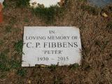 image of grave number 735957